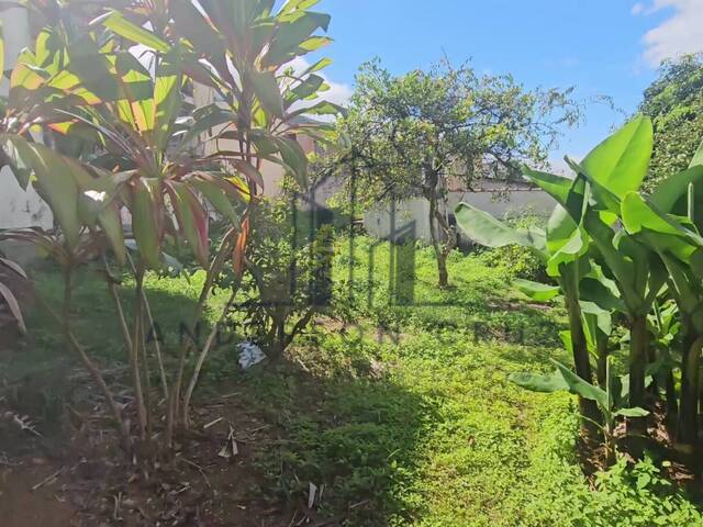 Conjunto Comercial para Venda em Poços de Caldas - 5