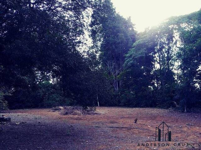 #3065 - Terreno para Venda em Poços de Caldas - MG